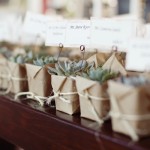 regalos para invitados de boda plantas