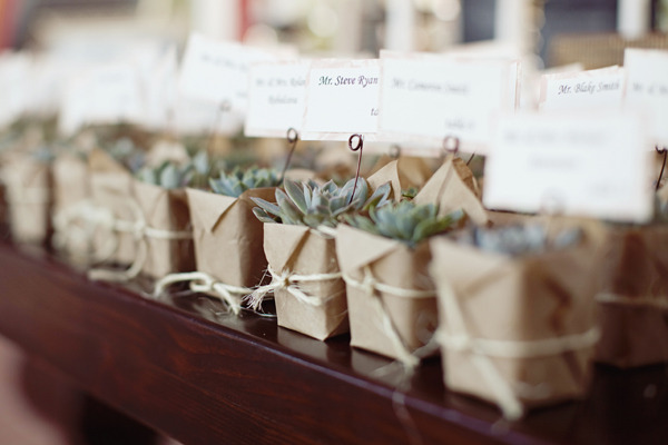 regalos-para-invitados-de-boda-plantas-1