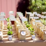 regalos para invitados de boda plantas