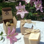 regalos para invitados de boda plantas