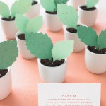 regalos para invitados de boda plantas