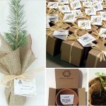 regalos para invitados de boda plantas