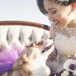 mascotas en la boda