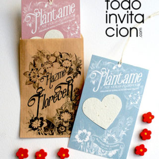 detalle semillas bautizo comunion