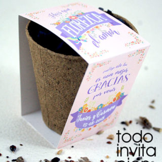 KIT DE SEMILLAS BODAS