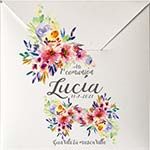 Primavera 0,00€
