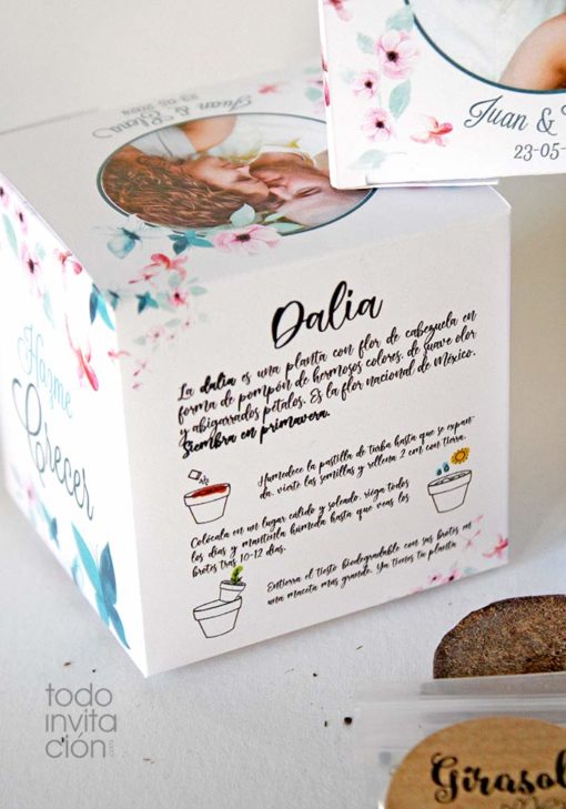 kit de semillas personalizado aromaticas flores