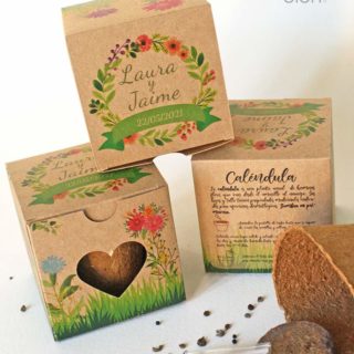 kit de semillas personalizado aromaticas flores